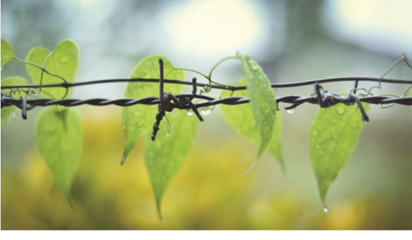 “与招标人存在利害关系可能影响招标公正性”咋理解