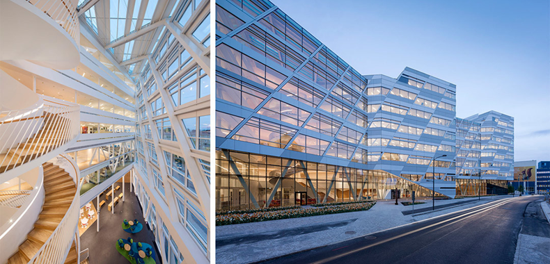 国务院办公厅：部署开展招投标领域专项整治