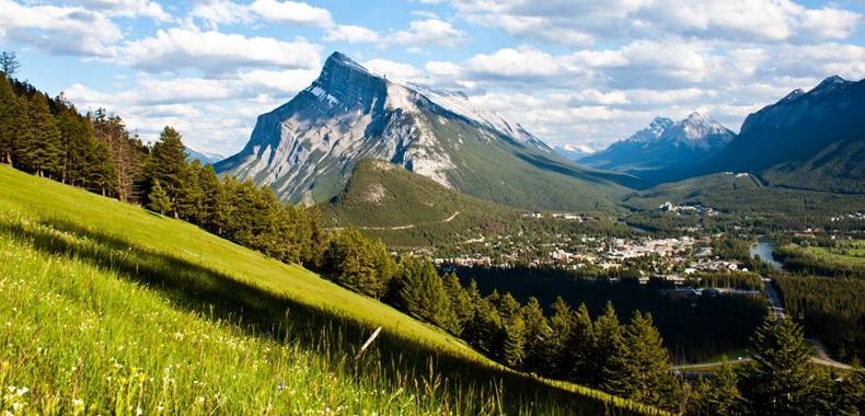 陕西：政府采购项目全部取消投标网上报名环节