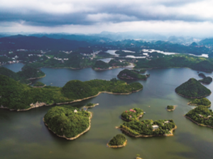 发改委推七省市典型做法促公共资源交易健康发展