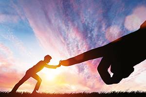 从实践案例看提供虚假材料谋取中标的认定难题