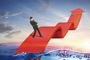 从五则案例看投标文件相互混装串标行为的不同认定