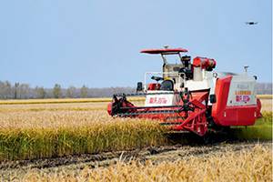 “关键核心技术是要不来、买不来、讨不来的”—习近平总书记推动科技创新的故事