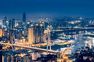 政府采购中供应商投标合规要点解析