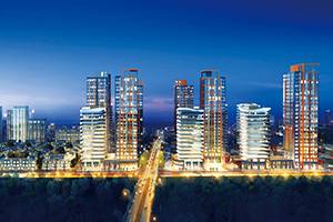 联合体投标中的常见问题有哪些