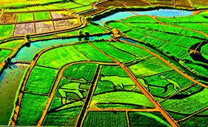 作出不利投诉处理决定前应充分保障投标人正当程序权利