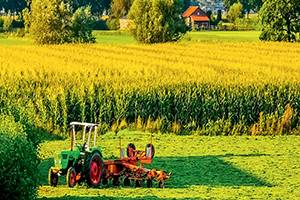 完整、准确、全面贯彻新发展理念，推动高质量发展