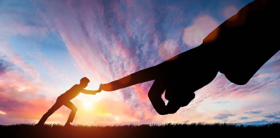 深圳公共资源改革：撤销采购中心等事业单位，成立交易集团国企