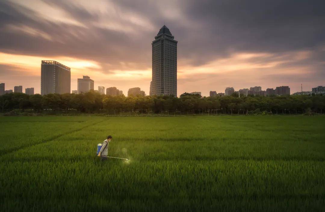 海南通过政府采购与招投标确定农药兽药废弃包装处置单位