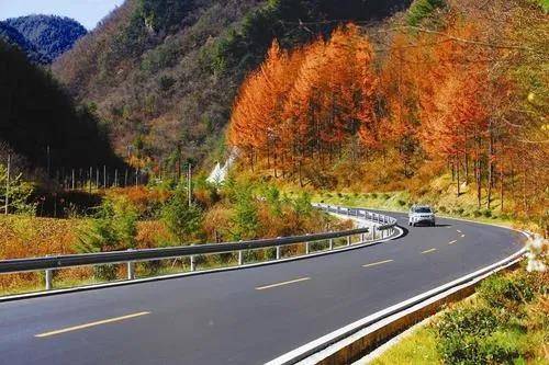 对标国际，上海规范公路养护工程招投标管理