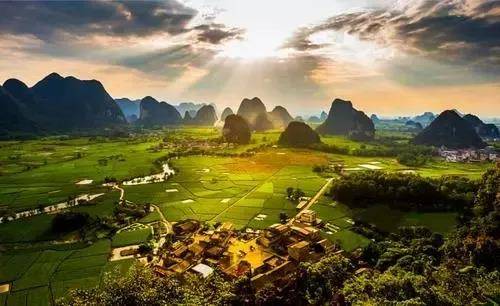 中央财政2021年安排衔接推进乡村振兴补助资金1561亿元，属于政采管理范围的项目应执行政采相关规定