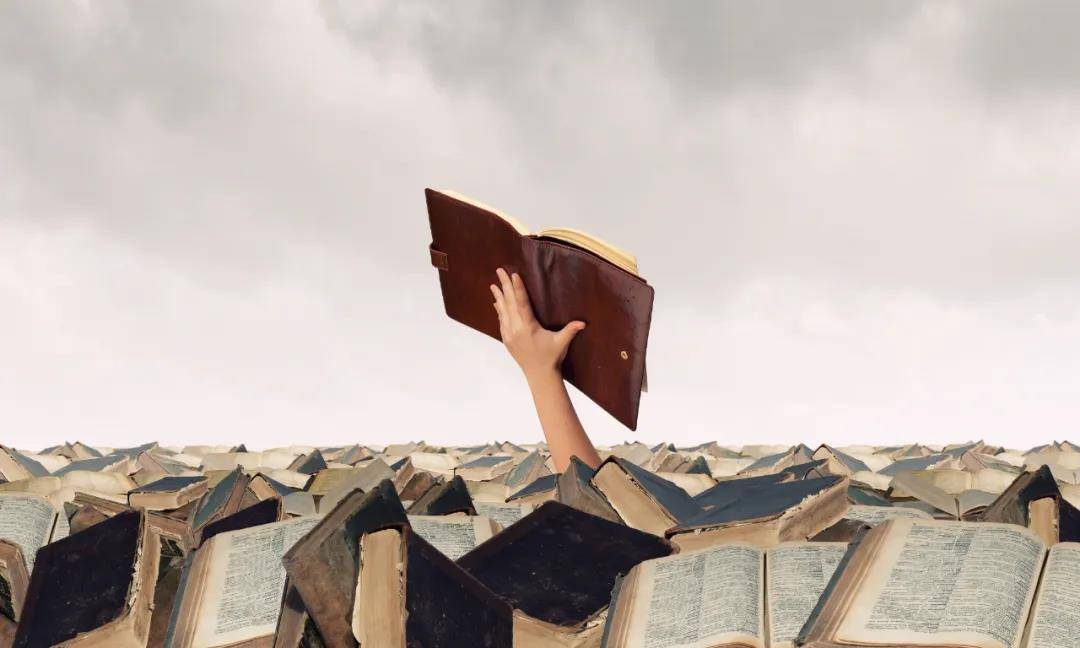 对10种违法行为17种违规行为说“NO”！湖南对评标专家行为负面清单征求意见