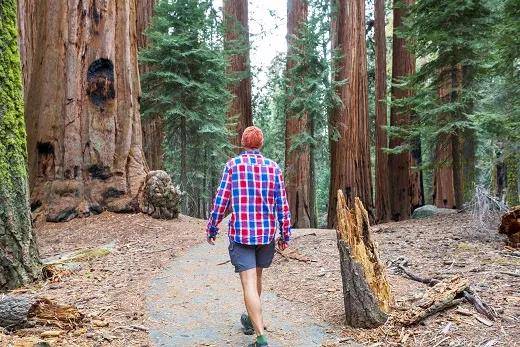 国家发改委：林权交易纳入公共资源交易平台，5种林地权益可招投标交易