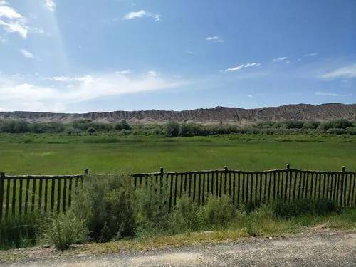 新疆发布2021-2022年度集采目录