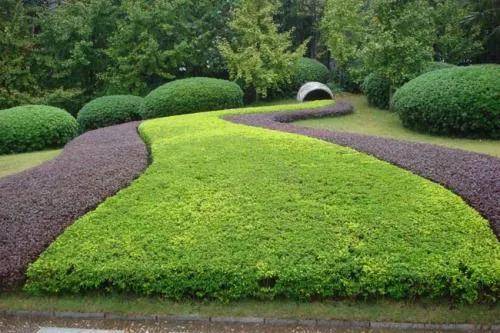 山东网上商城管理办法公开征求意见，提供直购、竞价、优惠率三种价格形成机制