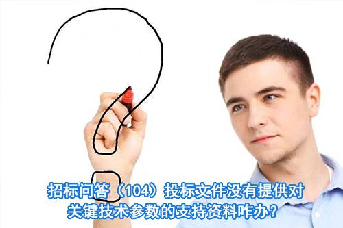 招标问答（104）投标文件没有提供对关键技术参数的支持资料咋办？