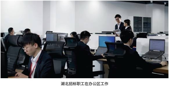 湖北招标职工在办公区工作.png