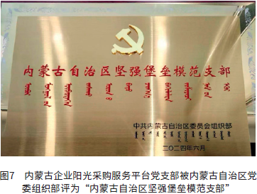 图7　内蒙古企业阳光采购服务平台党支部被内蒙古自治区党