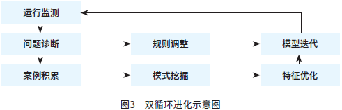 图3　双循环进化示意图
