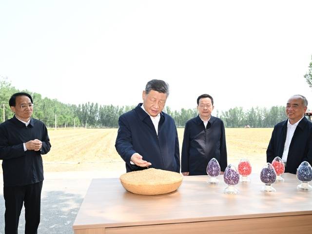 习近平在山东德州考察时强调 以扎实举措推进农业农村现代化 用勤劳和智慧创造更加美好...
