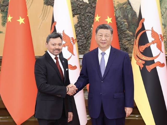 习近平会见文莱王储比拉